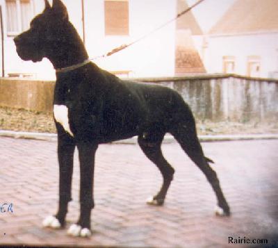 Zar Von Der Nurburg