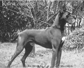Ero Von Trautheim