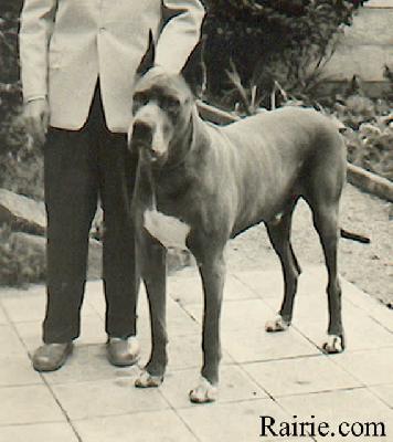Othello Von Der Gartenau