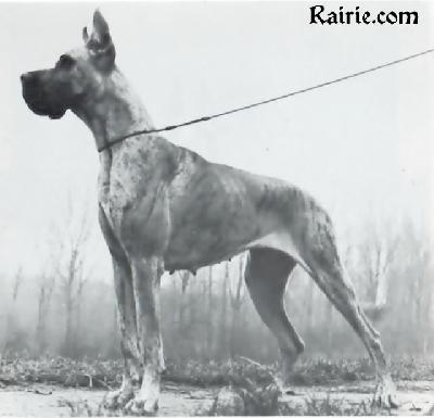 Zarah Von Der Bitz