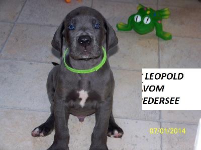 Leopold Vom Edersee