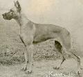 Sixta Von Eisenhof