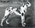 Sarto Von Lichtenrade