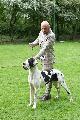 Jet T`aime Halil van`t Dudo Land