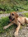 It`s Theon Graufreud Anima Avani