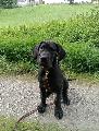 It`s Geillis Duncan Anima Avani