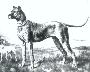 Nero I